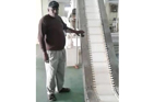 Conveyor For Tea Machinery
